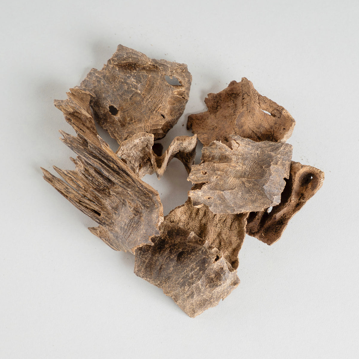 Oud Char (1 Tola)