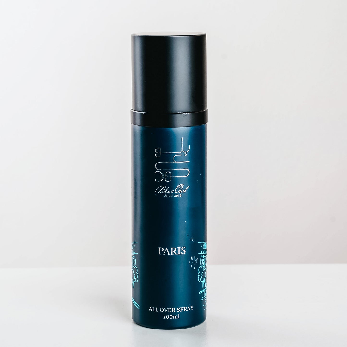 paris all over spray